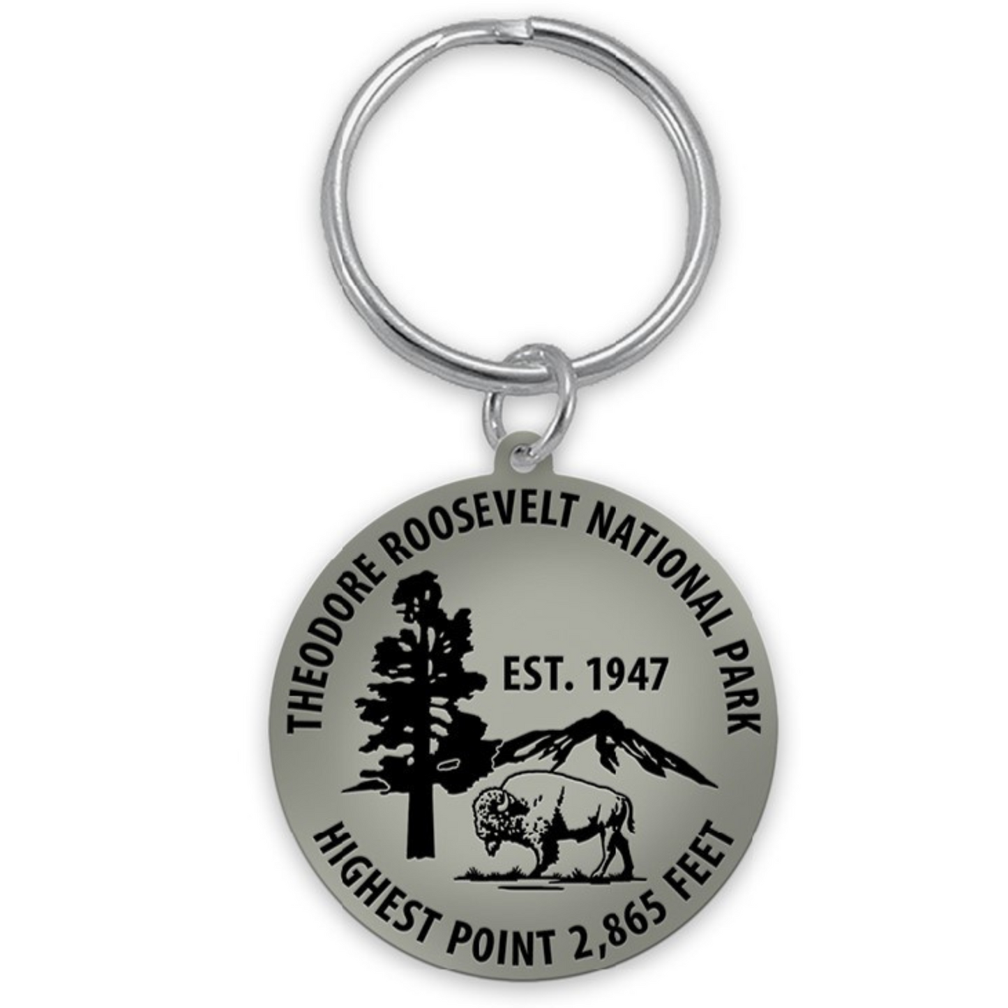 TRNP Geodisc Keychain