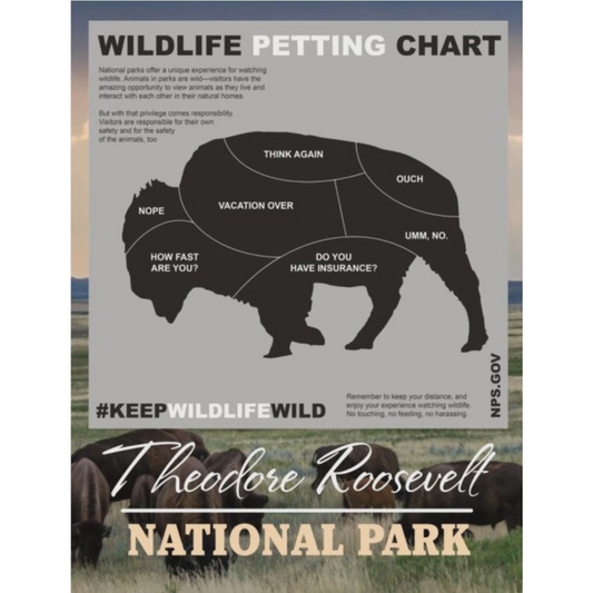 Wildlife Petting Postcard