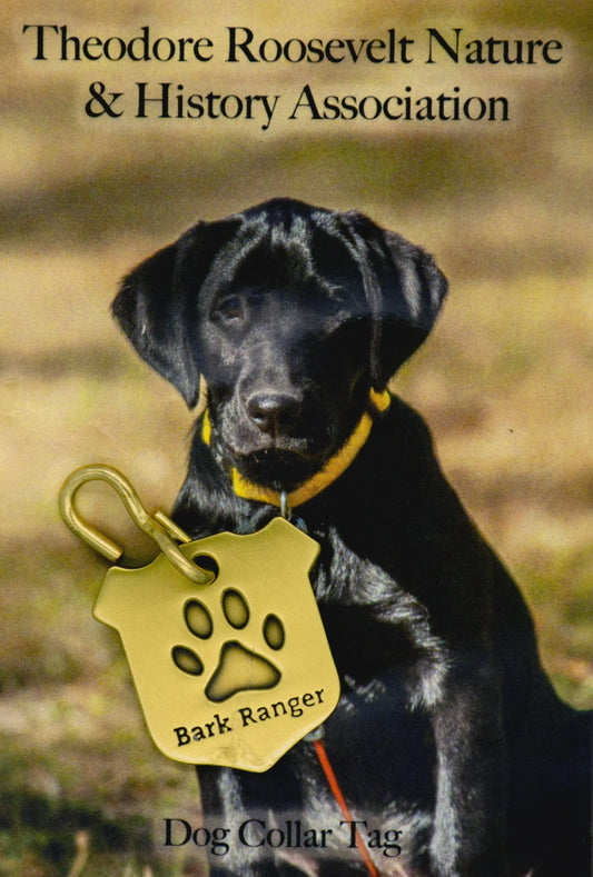 Bark Ranger Dog Tag