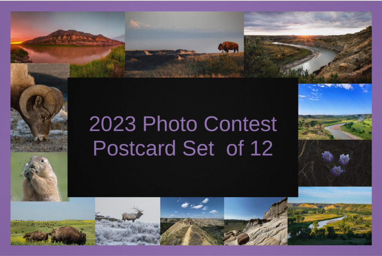 2023 Picture Yourself in TRNP Postcard Set