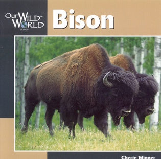 Our Wild World: Bison