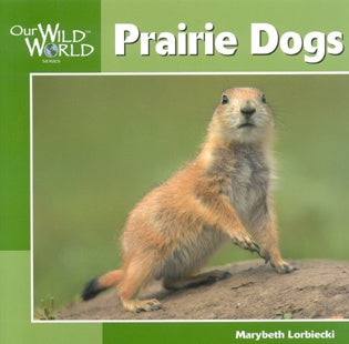 Our Wild World: Prairie Dogs