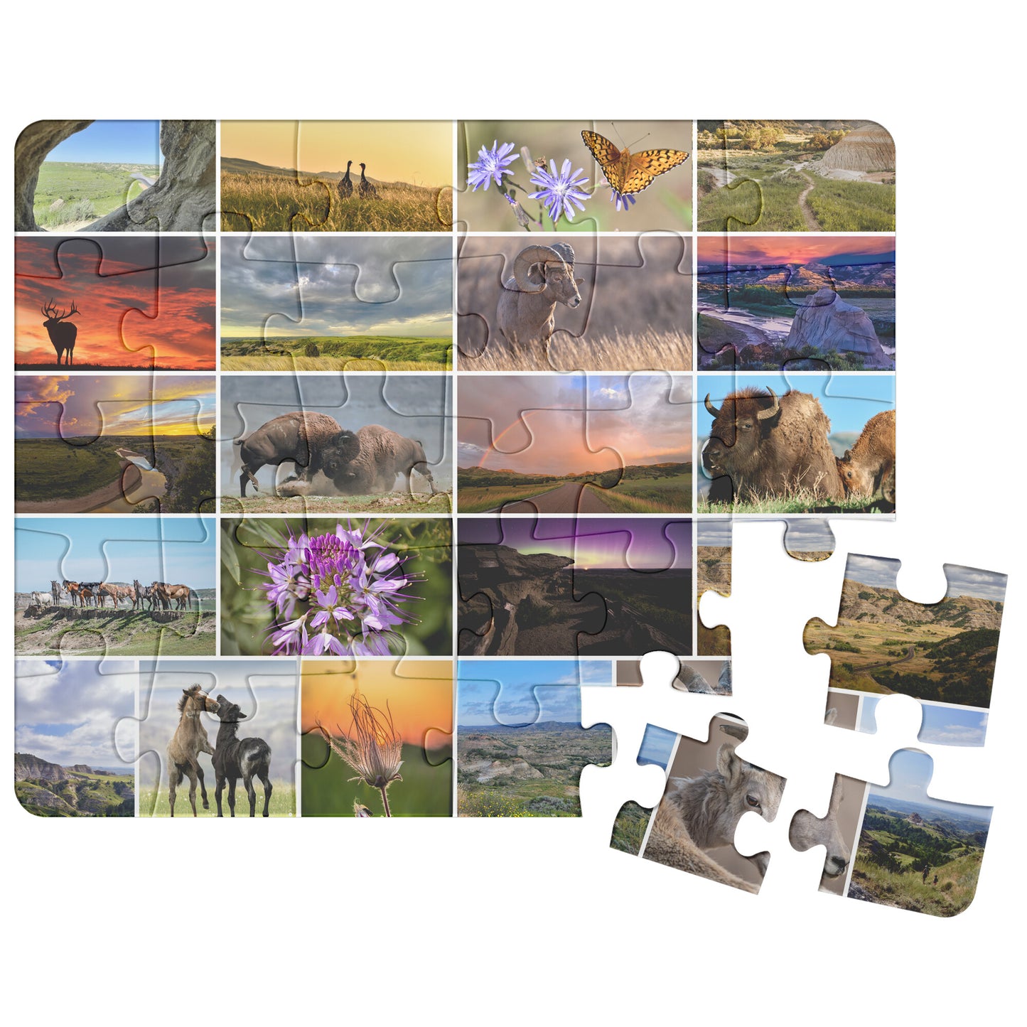 Picture Yourself in TRNP Puzzle Front